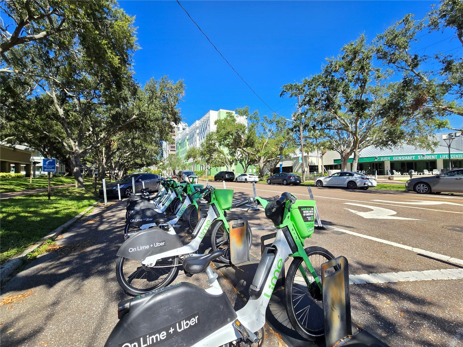 Image 40 of 60 For 701 42nd Avenue S