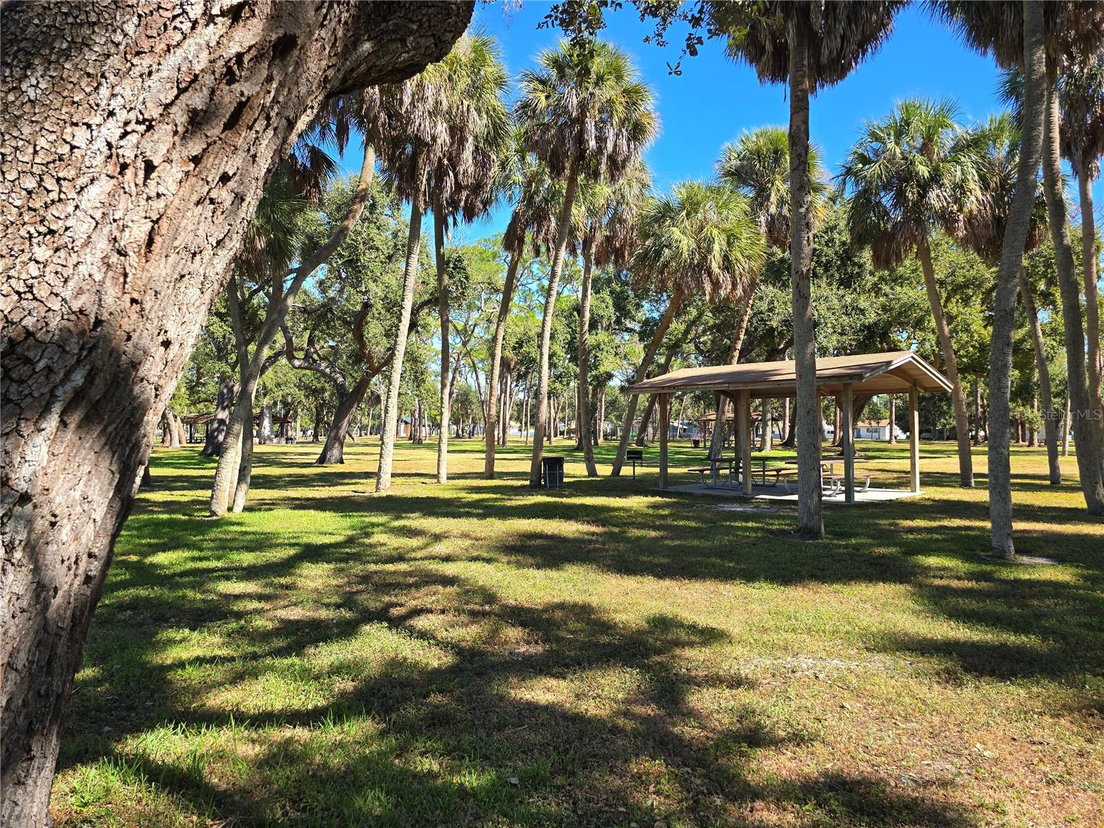 Image 41 of 60 For 701 42nd Avenue S