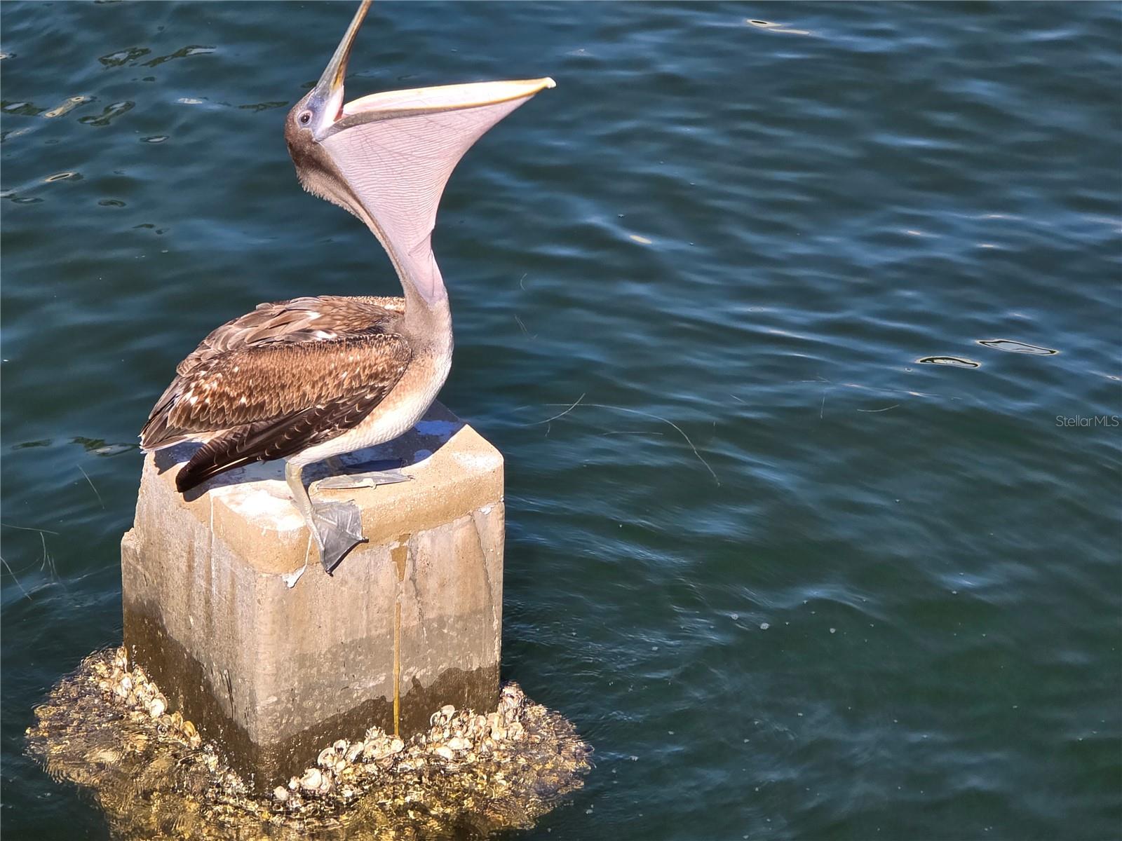 Image 51 of 60 For 701 42nd Avenue S