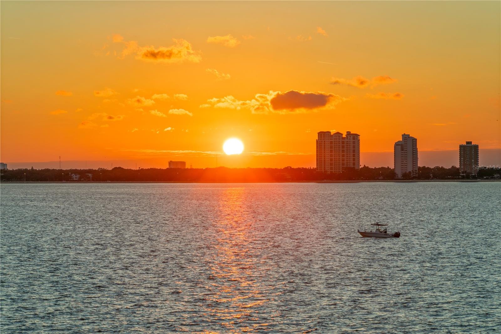 Listing photo id 69 for 82 Martinique Avenue