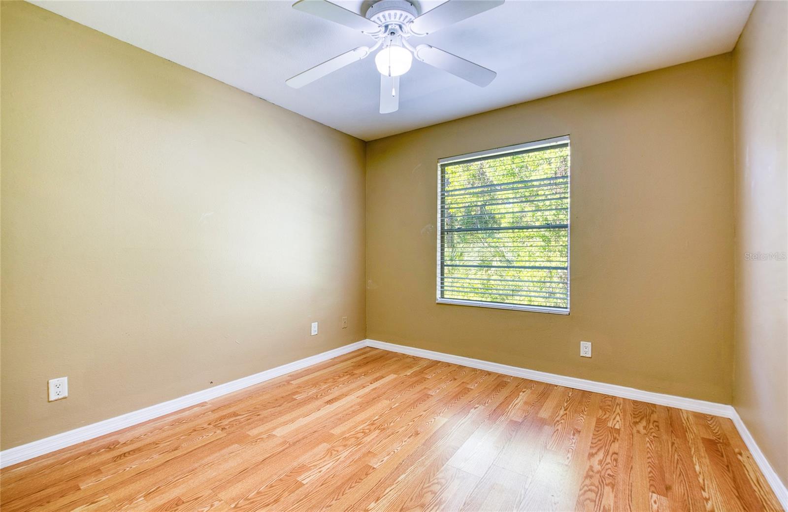 Image 33 of 48 For 1400 Gandy Blvd. N Boulevard N 811