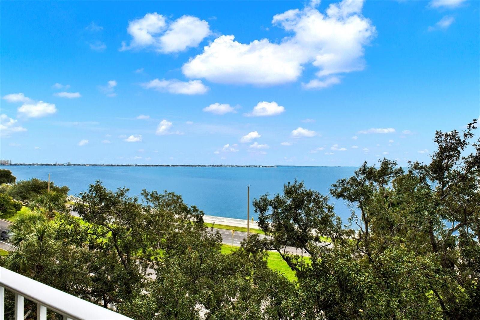 Image 16 of 44 For 2611 Bayshore Boulevard 501