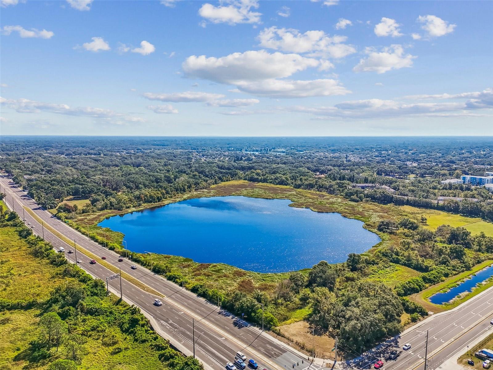 Listing photo id 21 for Williams Road