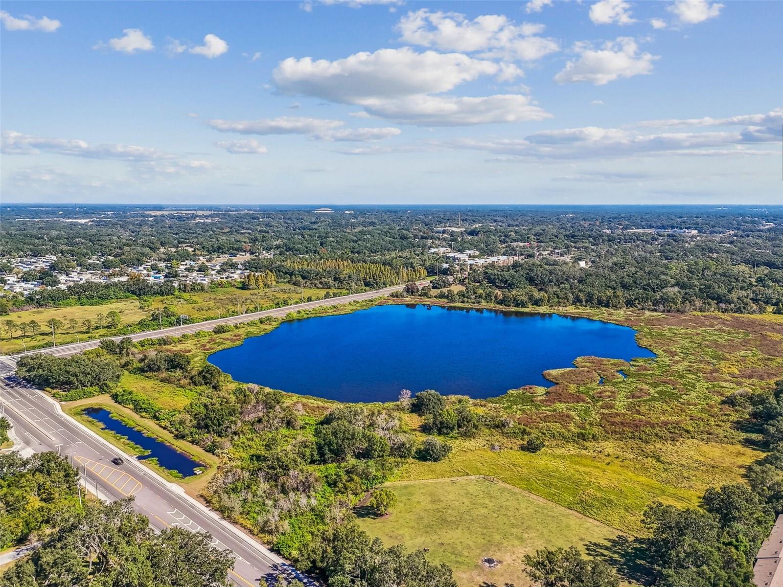 Listing photo id 24 for Williams Road