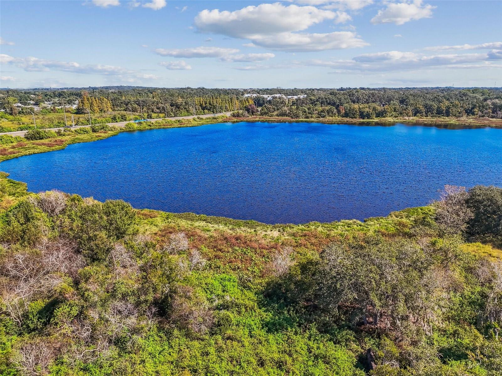 Listing photo id 29 for Williams Road