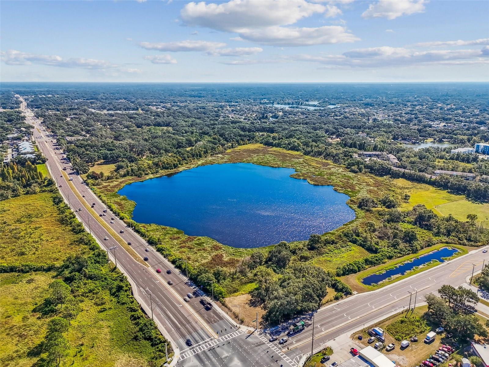 Listing photo id 33 for Williams Road