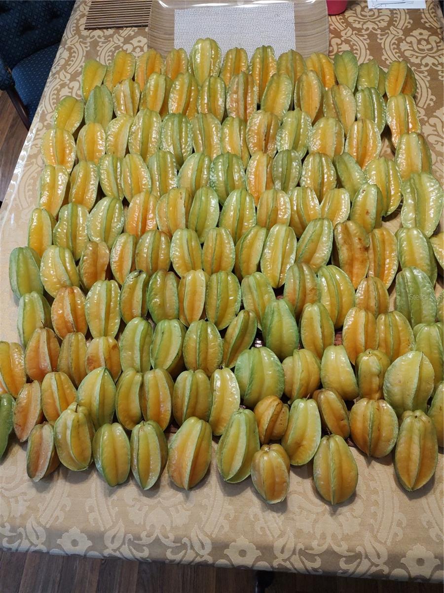 Listing photo id 25 for 10342 Shady Drive