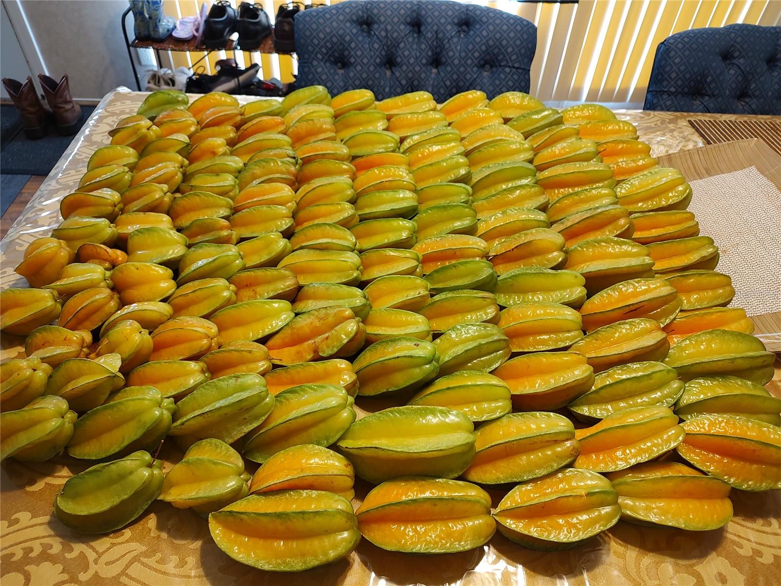 Listing photo id 26 for 10342 Shady Drive