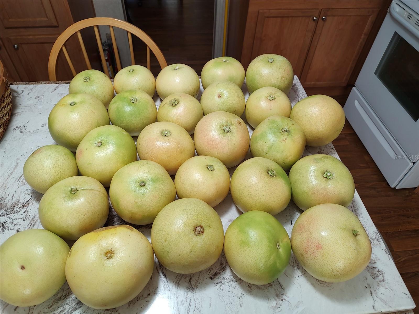 Listing photo id 27 for 10342 Shady Drive