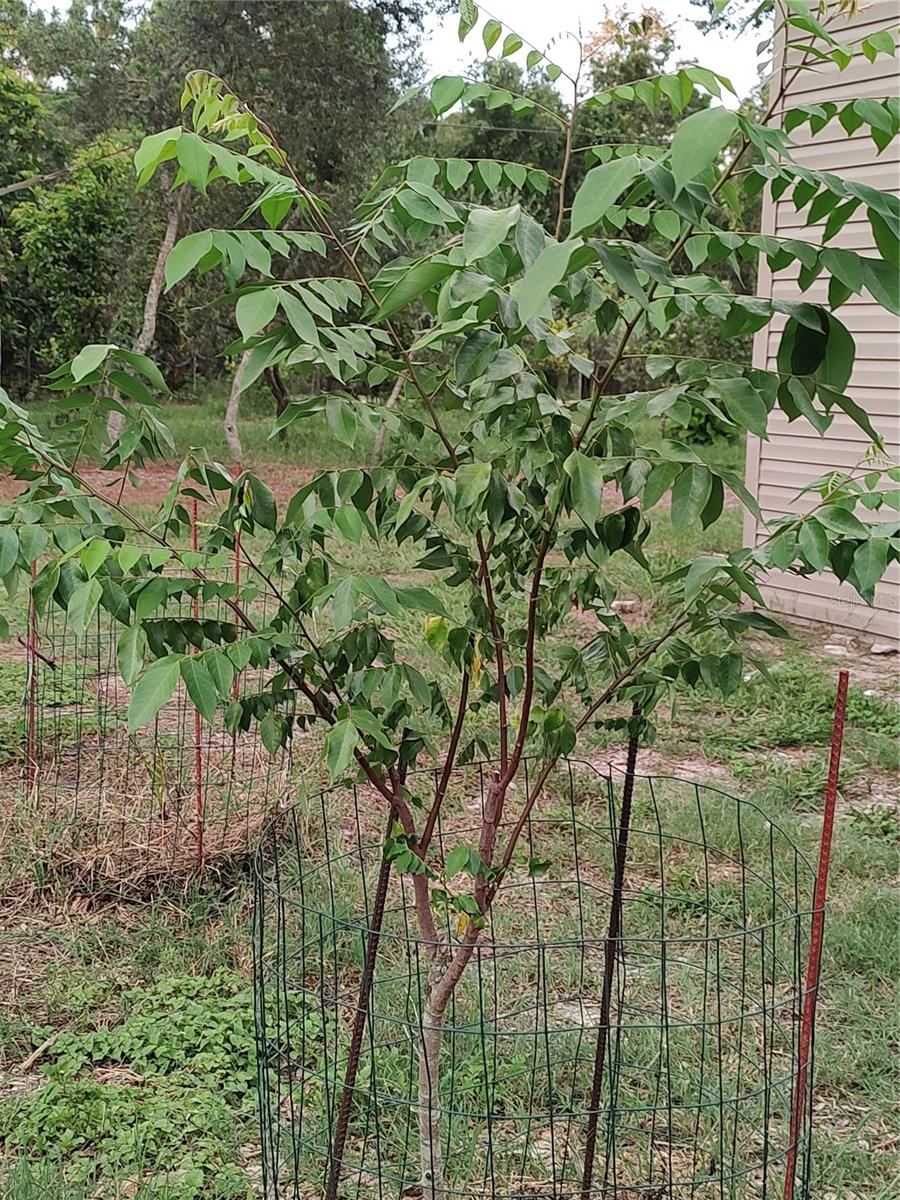 Listing photo id 28 for 10342 Shady Drive