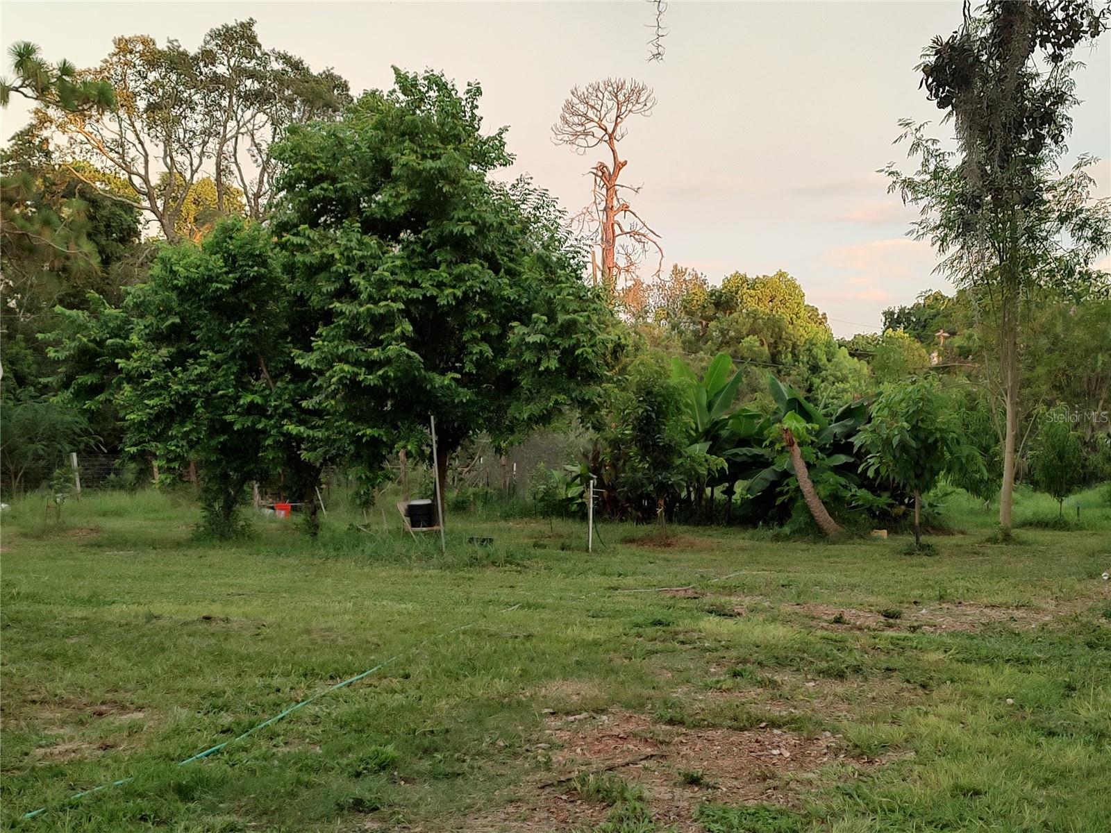 Listing photo id 29 for 10342 Shady Drive