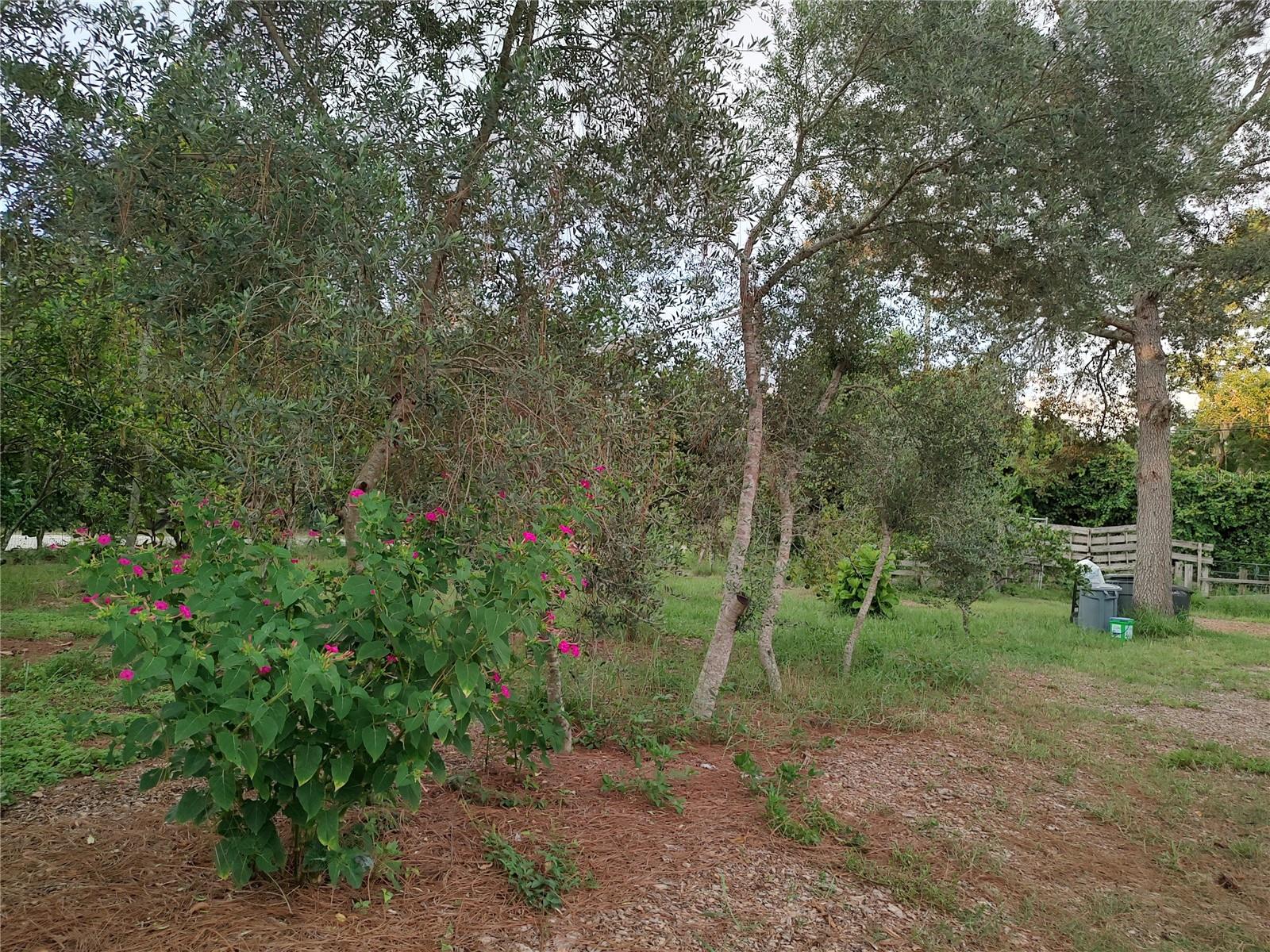 Listing photo id 33 for 10342 Shady Drive