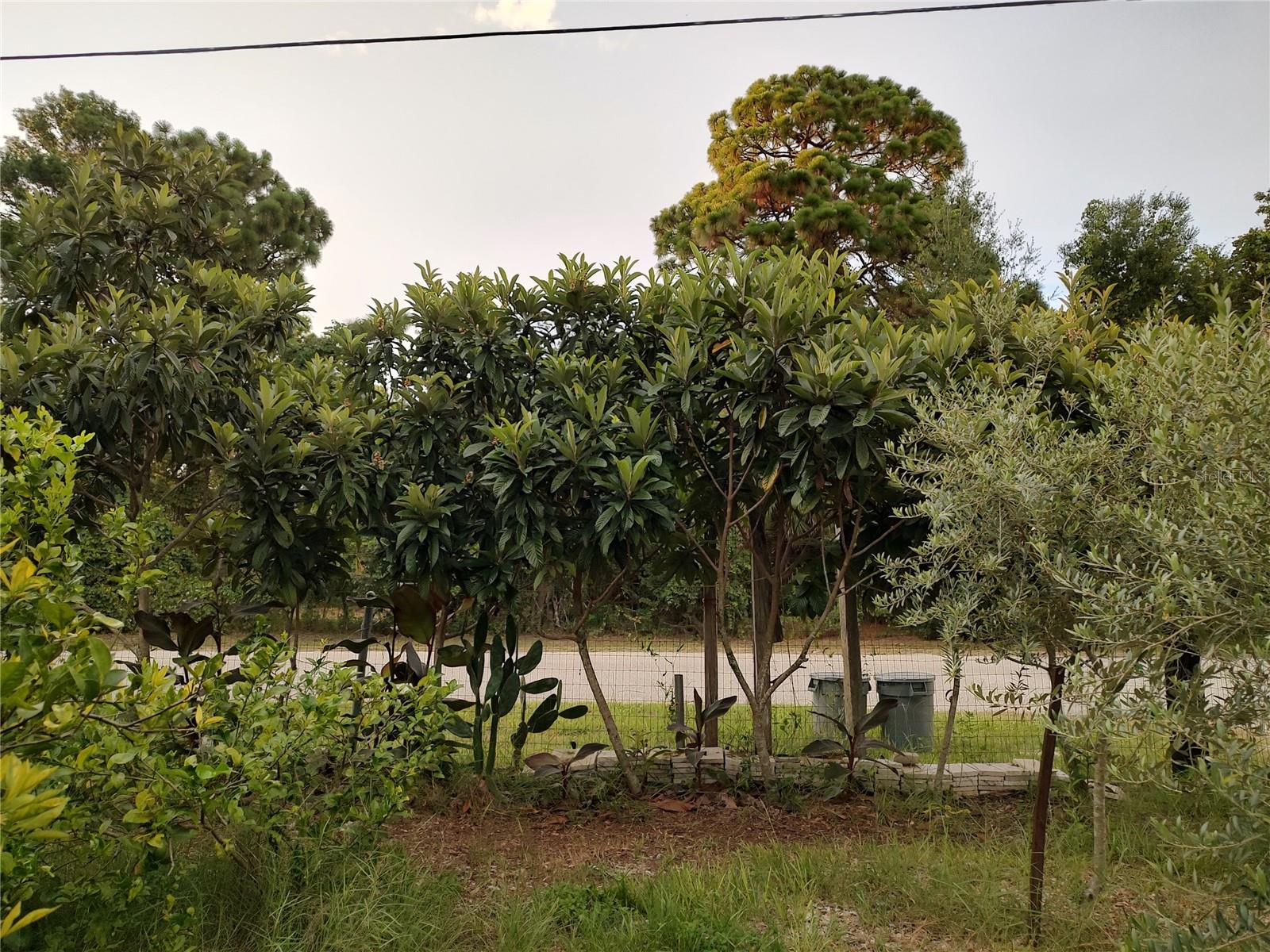 Listing photo id 36 for 10342 Shady Drive