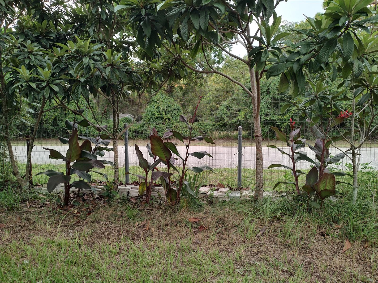 Listing photo id 38 for 10342 Shady Drive