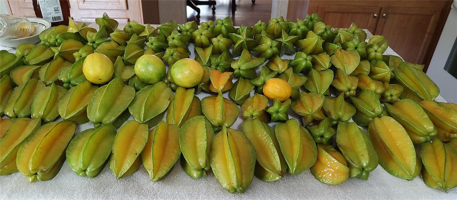 Listing photo id 44 for 10342 Shady Drive