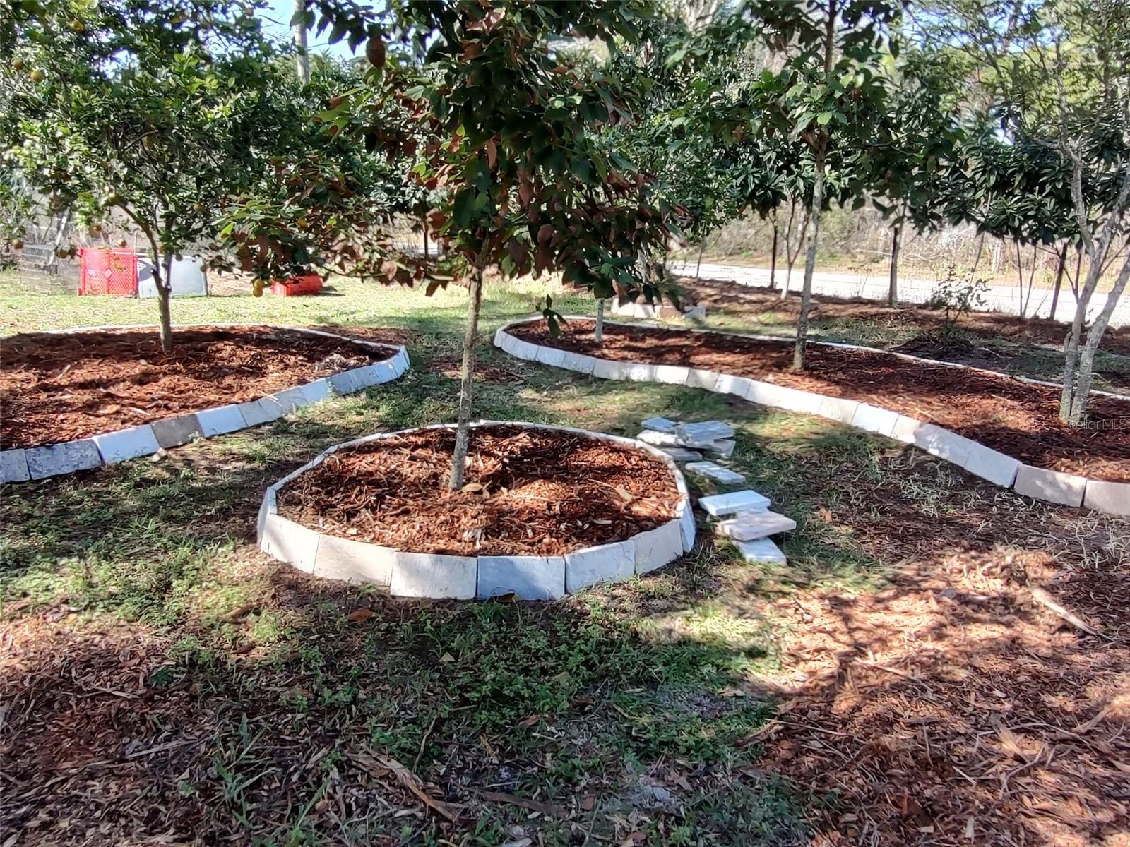 Listing photo id 45 for 10342 Shady Drive