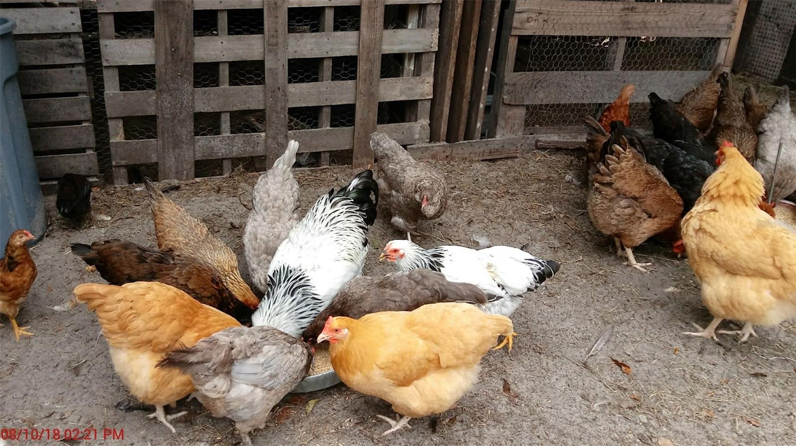 Listing photo id 47 for 10342 Shady Drive