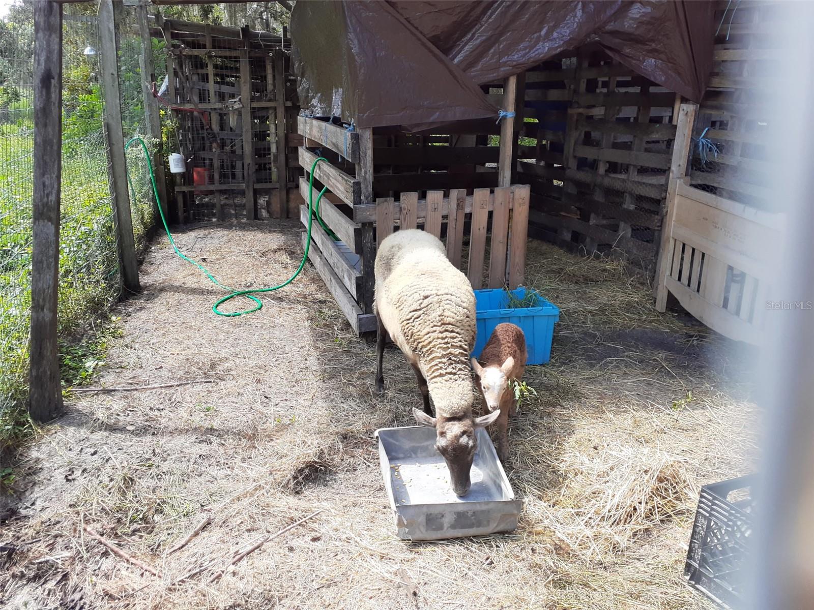 Listing photo id 51 for 10342 Shady Drive