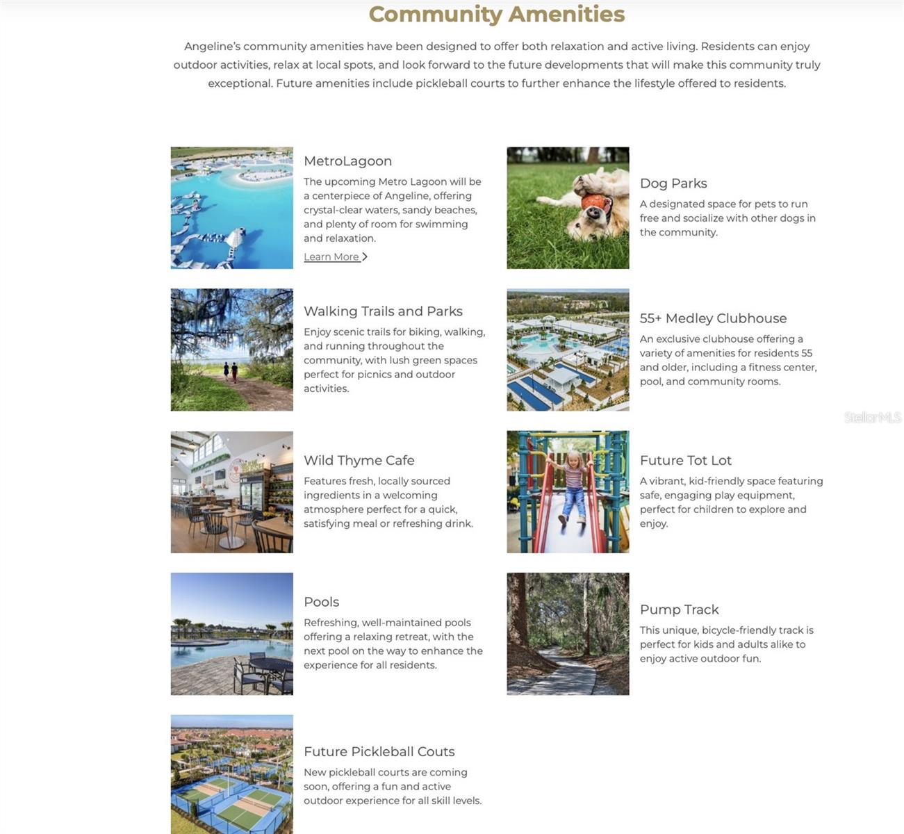 Image 12 of 13 For 16808 Forge Surf Street