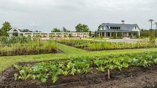 Image 9 of 13 For 16808 Forge Surf Street