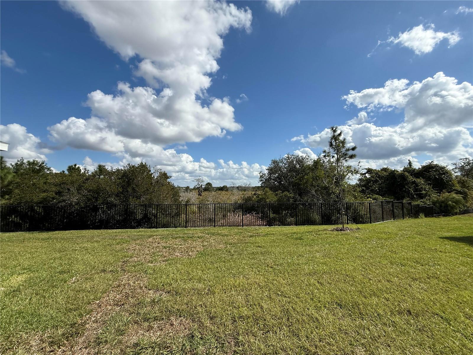 Image 32 of 33 For 32514 Weathered Oak D Drive