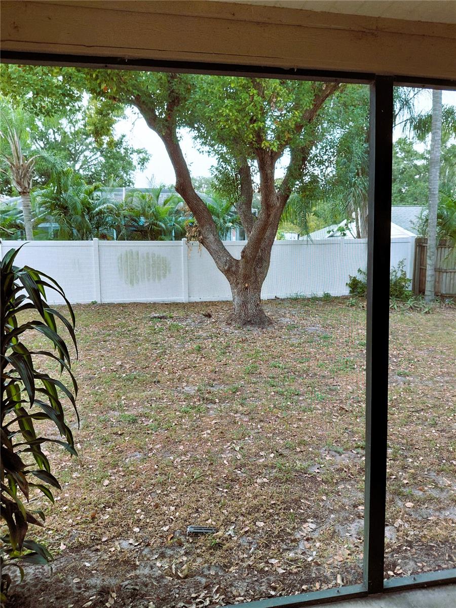 Image 30 of 35 For 2884 Cinnamon Bear Trail