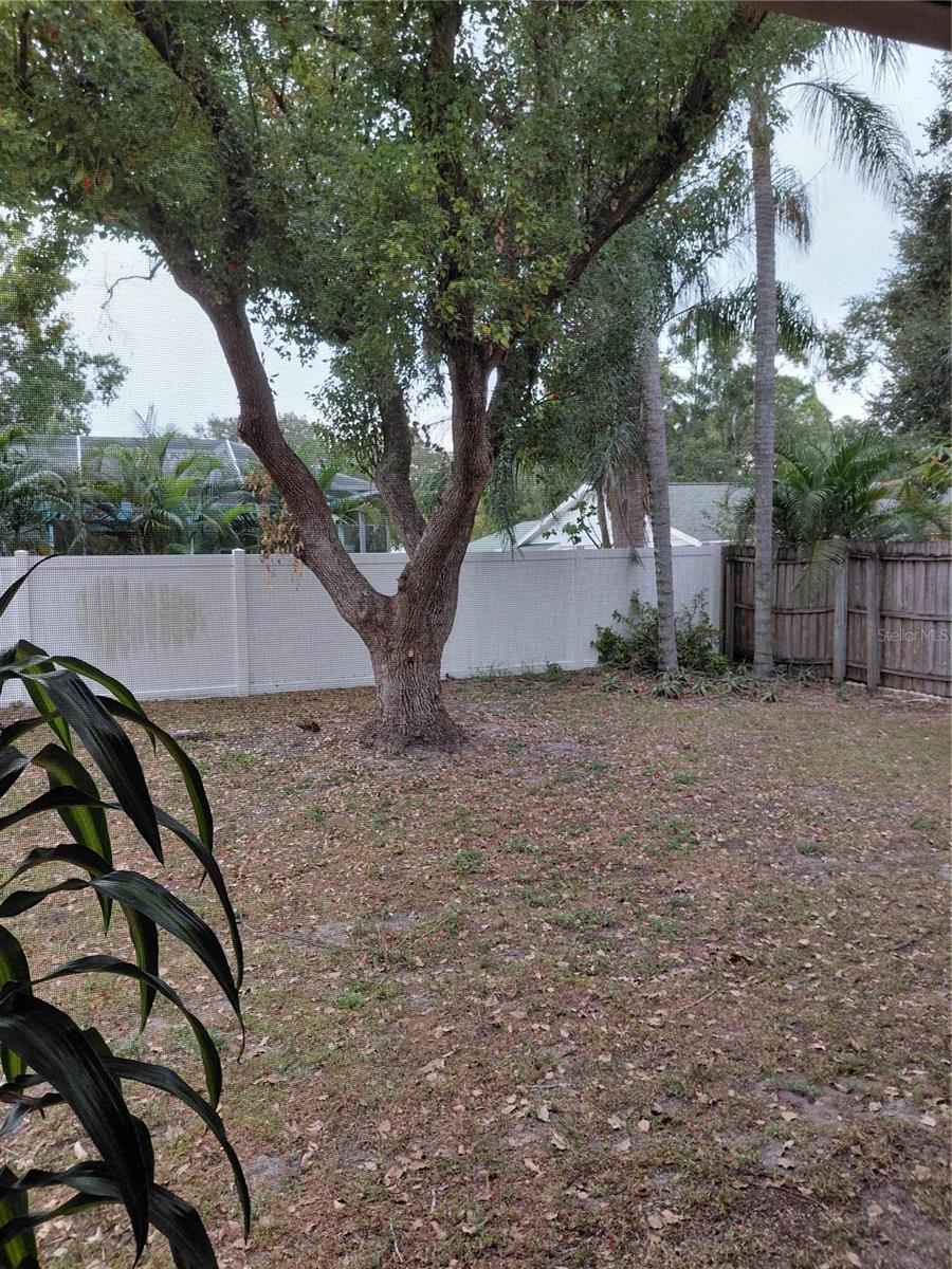 Image 33 of 35 For 2884 Cinnamon Bear Trail