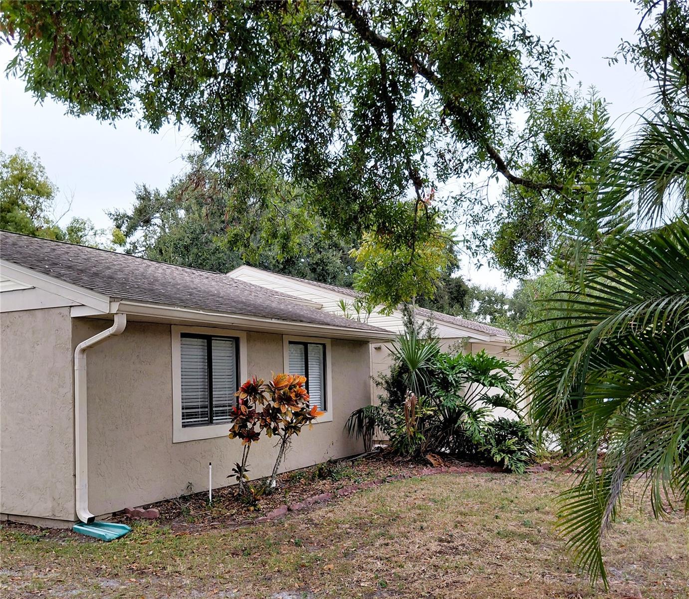 Image 5 of 35 For 2884 Cinnamon Bear Trail