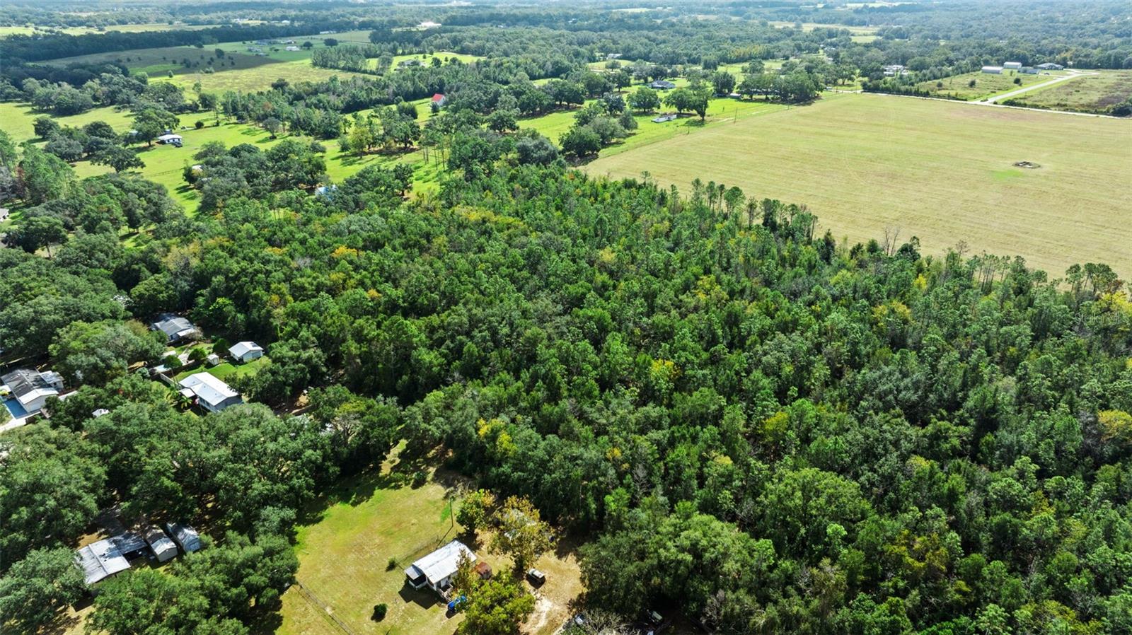 Image 15 of 16 For  Shenna Lane  