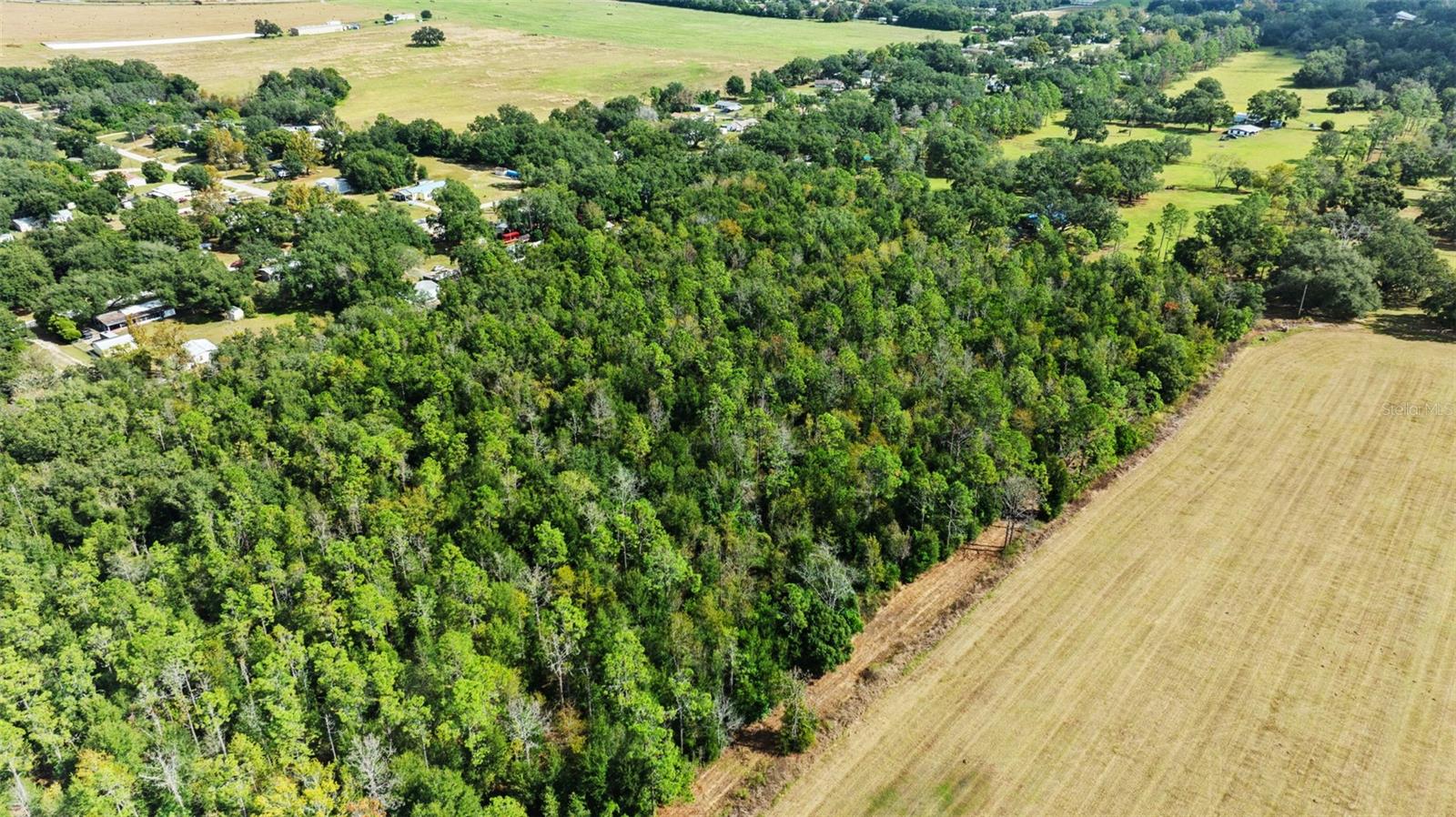 Image 9 of 16 For  Shenna Lane  