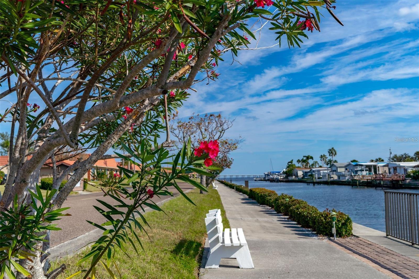 Image 23 of 40 For 19029 Us Highway 19 25d