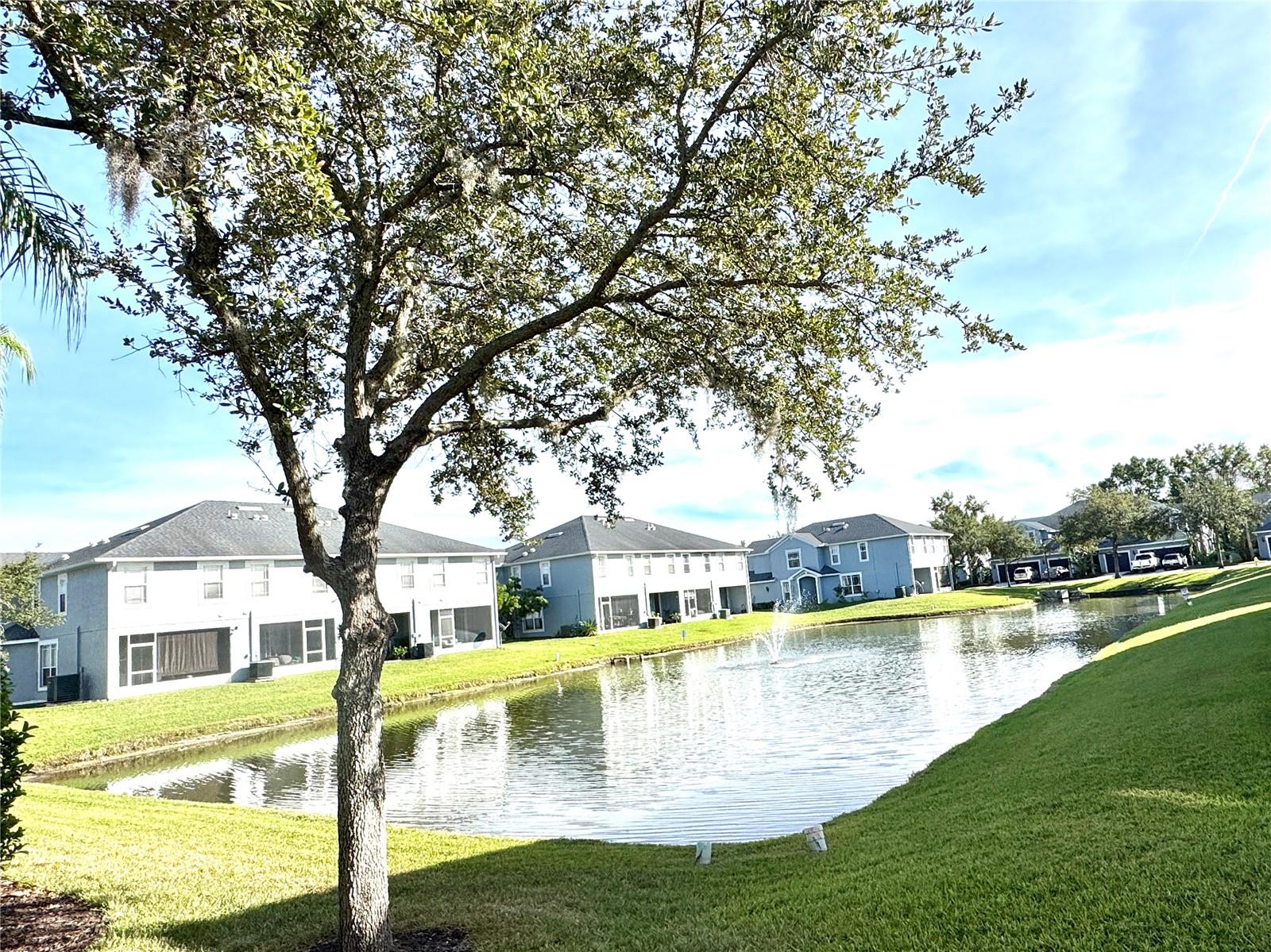 Image 9 of 45 For 10327 Willow Leaf Trail