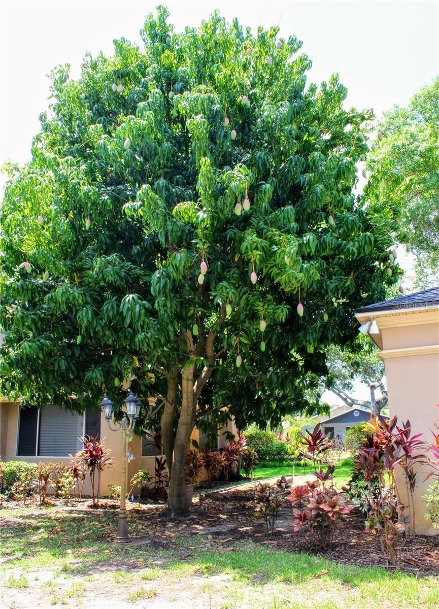 Image 2 of 15 For 5611 Sherwood Avenue 1