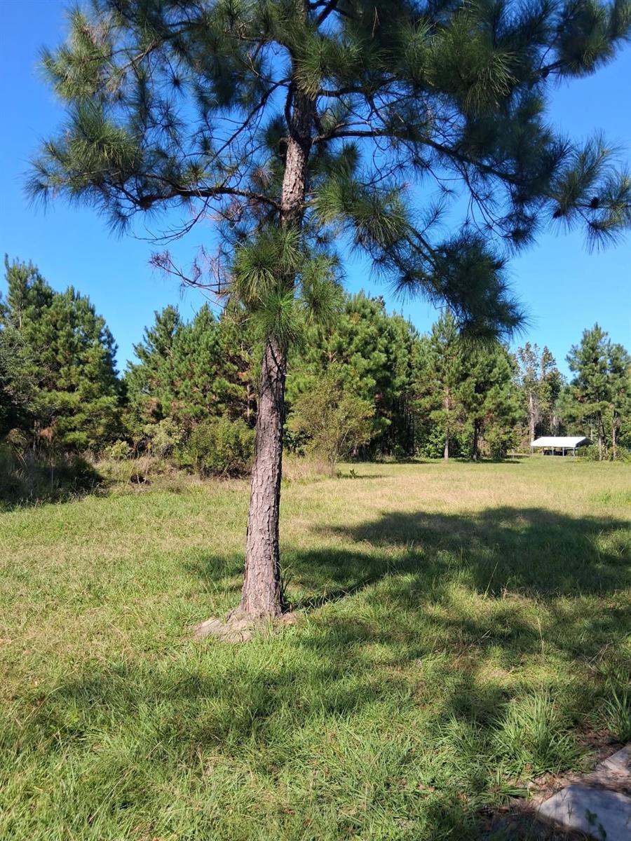 Image 17 of 34 For 6914 State Road 71 S