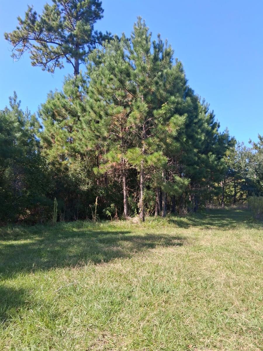 Image 28 of 34 For 6914 State Road 71 S