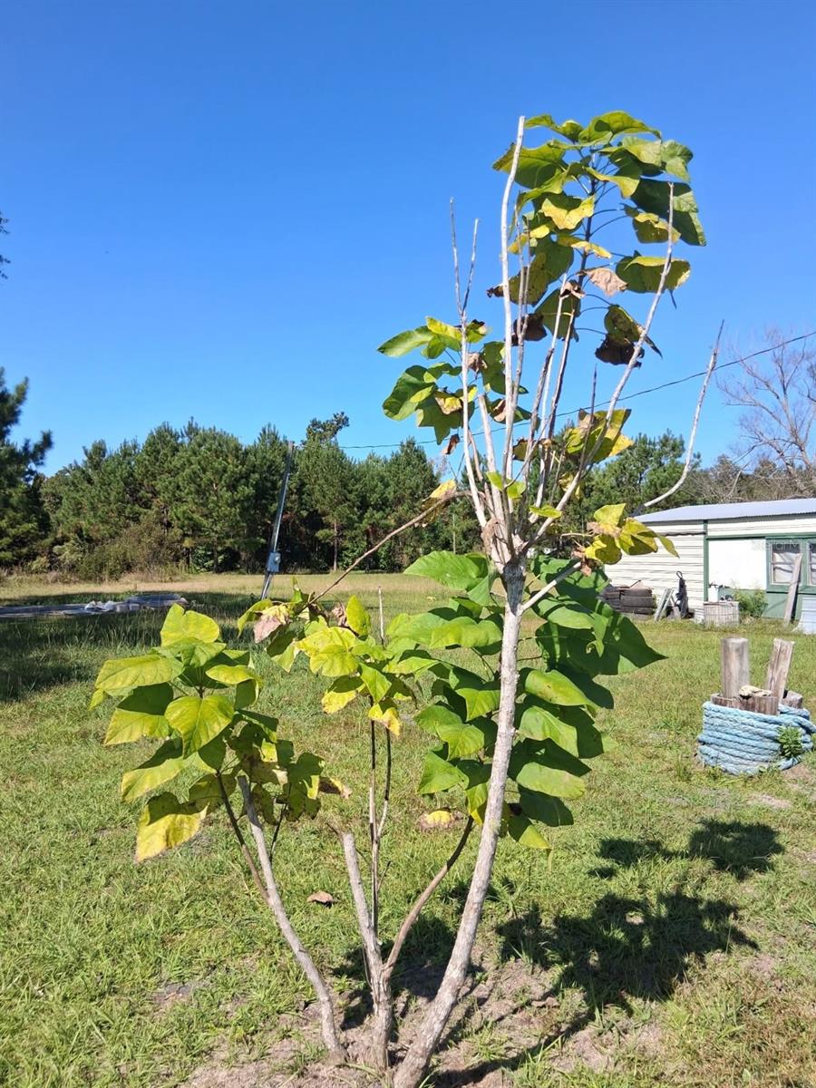Image 9 of 34 For 6914 State Road 71 S