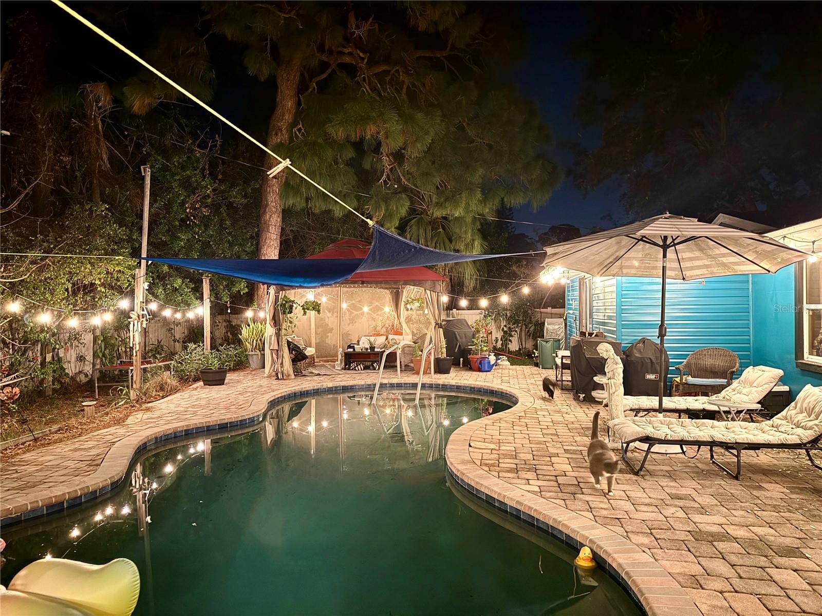 Image 27 of 27 For 1664 Bayshore Boulevard