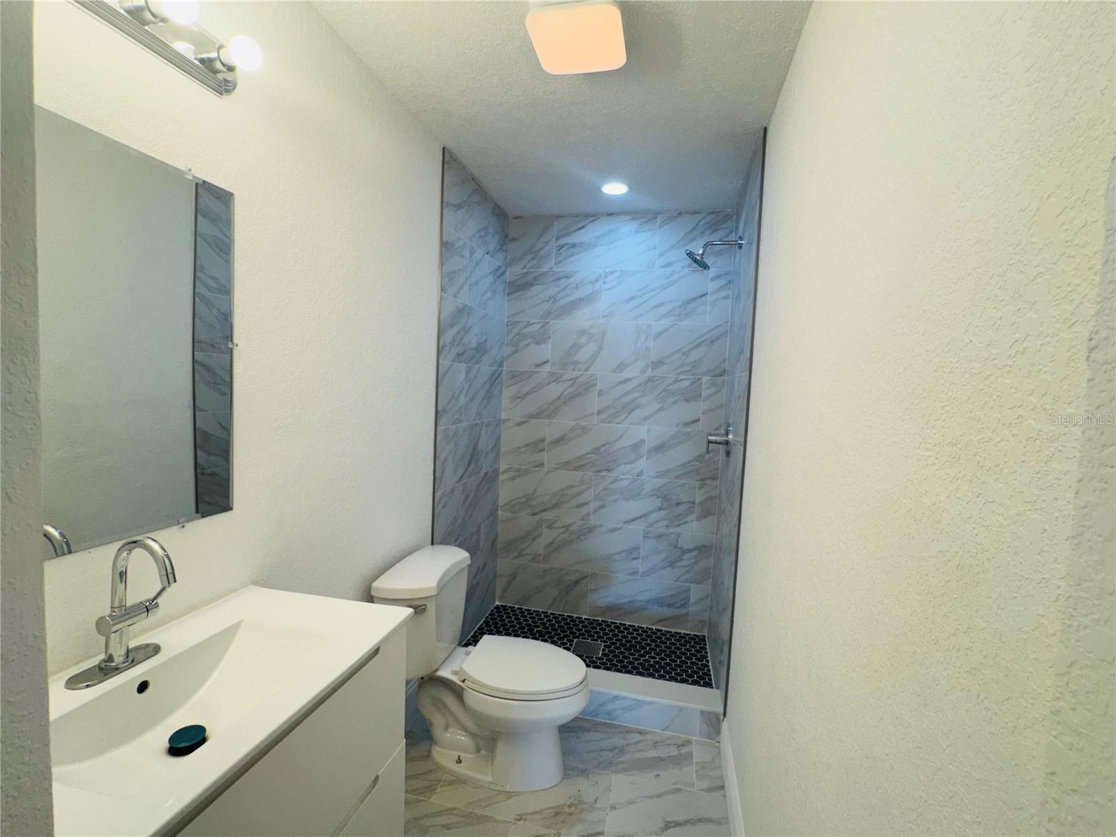 Image 18 of 36 For 1308 Tuscola Street