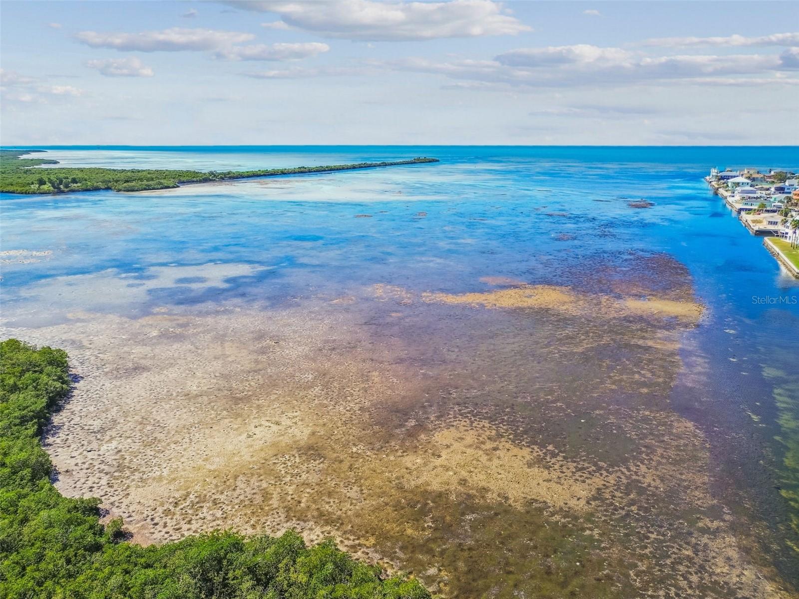 Listing photo id 77 for 13711 Allyn Drive