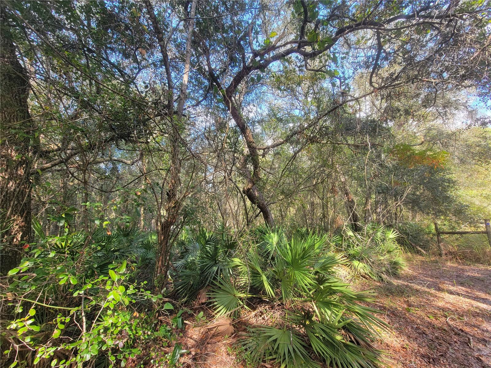 Image 2 of 3 For  Watt Street 