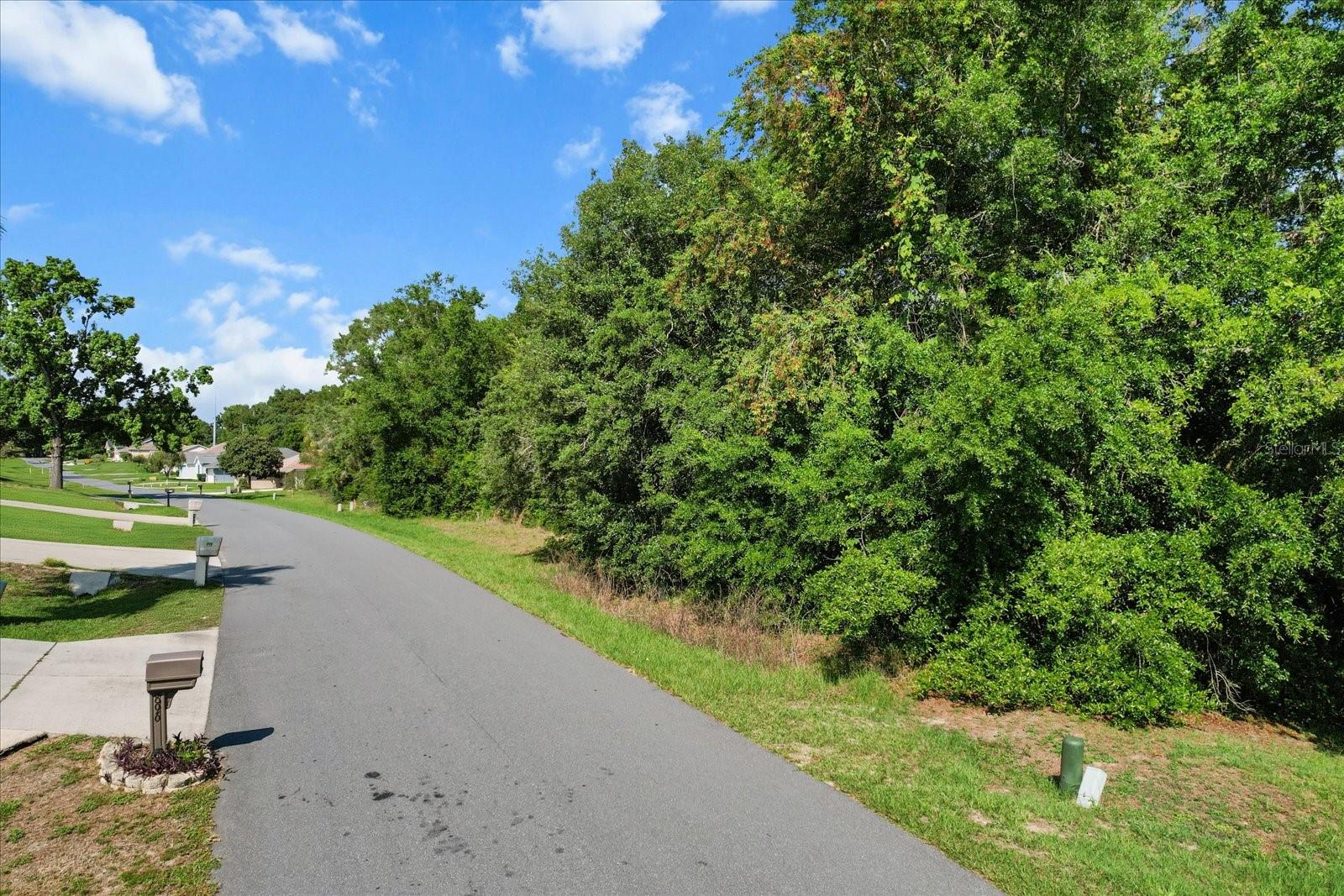 Image 3 of 9 For 911 Colbert Court