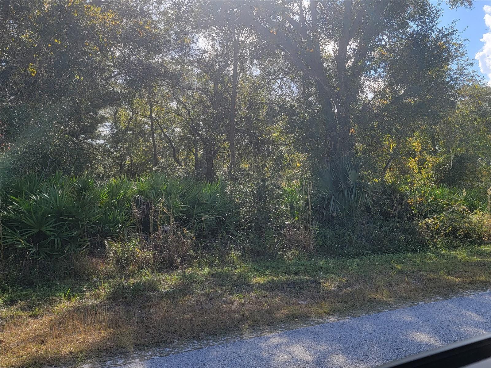 Image 4 of 4 For 9460 Rousseau Street