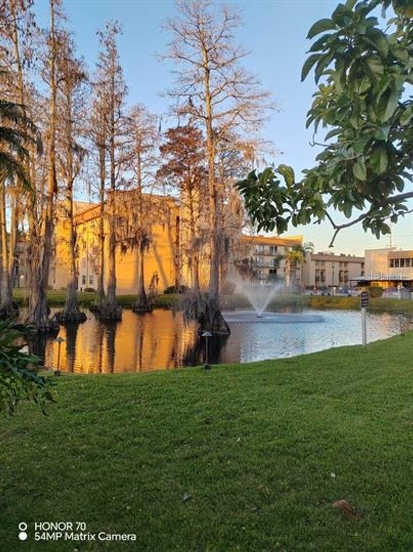 Image 15 of 16 For 5820 Church Avenue 413