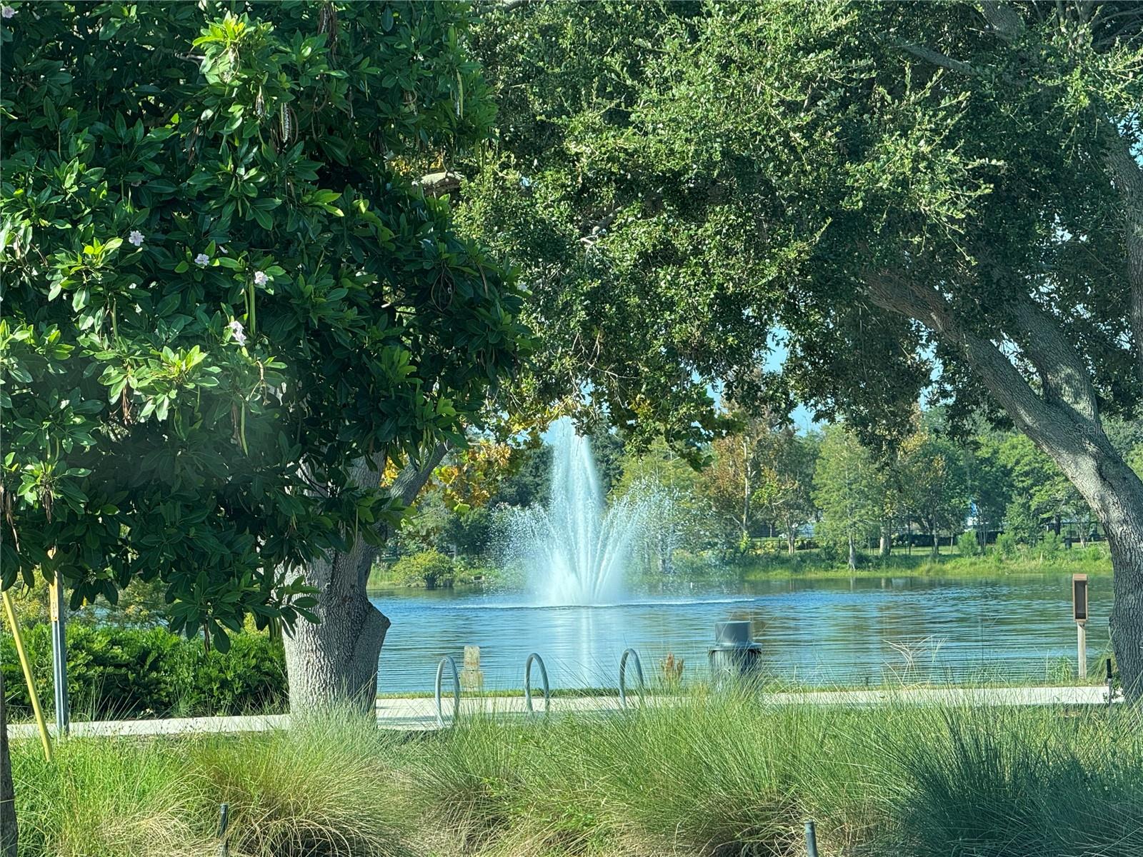 Image 4 of 42 For 1493 Cleveland Street