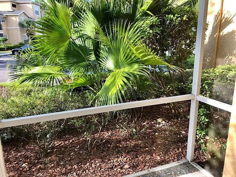 Image 15 of 26 For 5125 Palm Springs Boulevard 3104