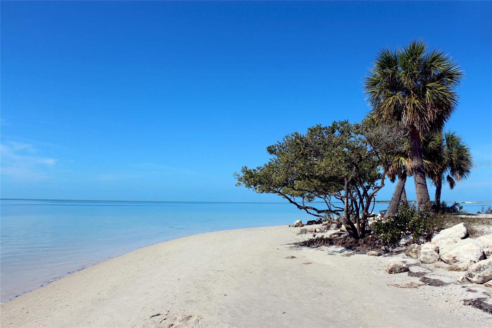 Image 62 of 68 For 707 Disston Avenue