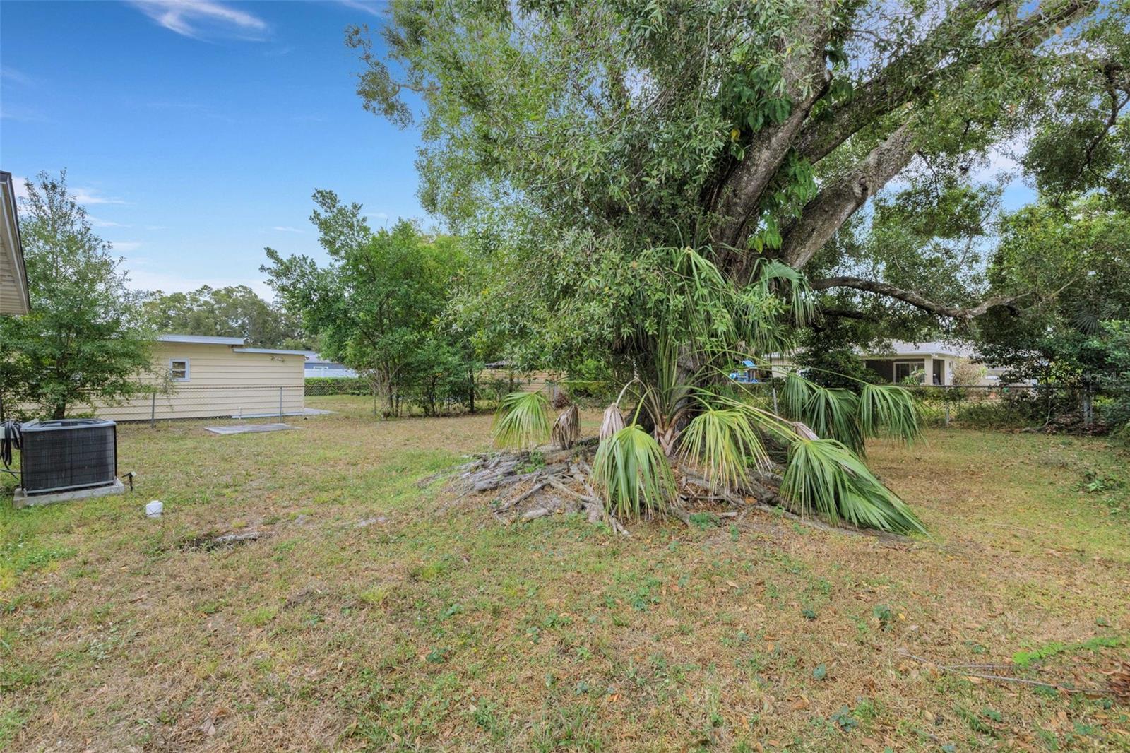 Image 43 of 59 For 918 Kentucky Avenue