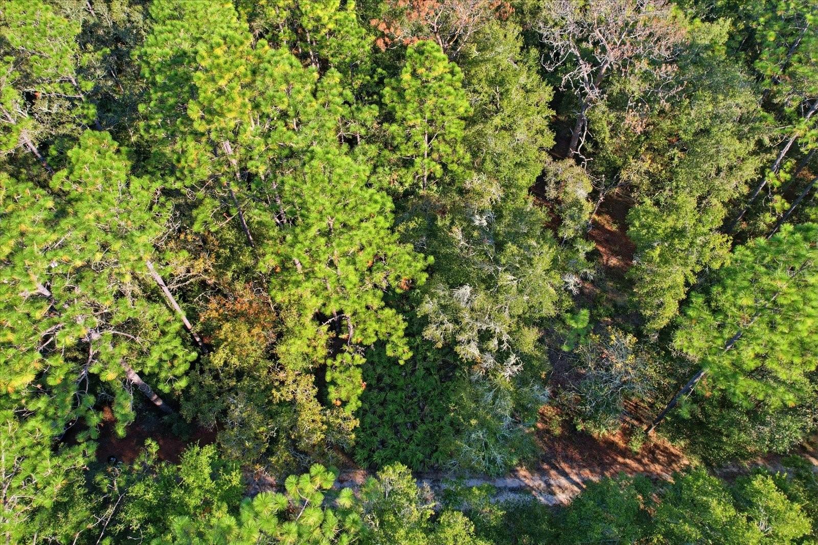 Image 4 of 4 For 7637 Rainbow Street