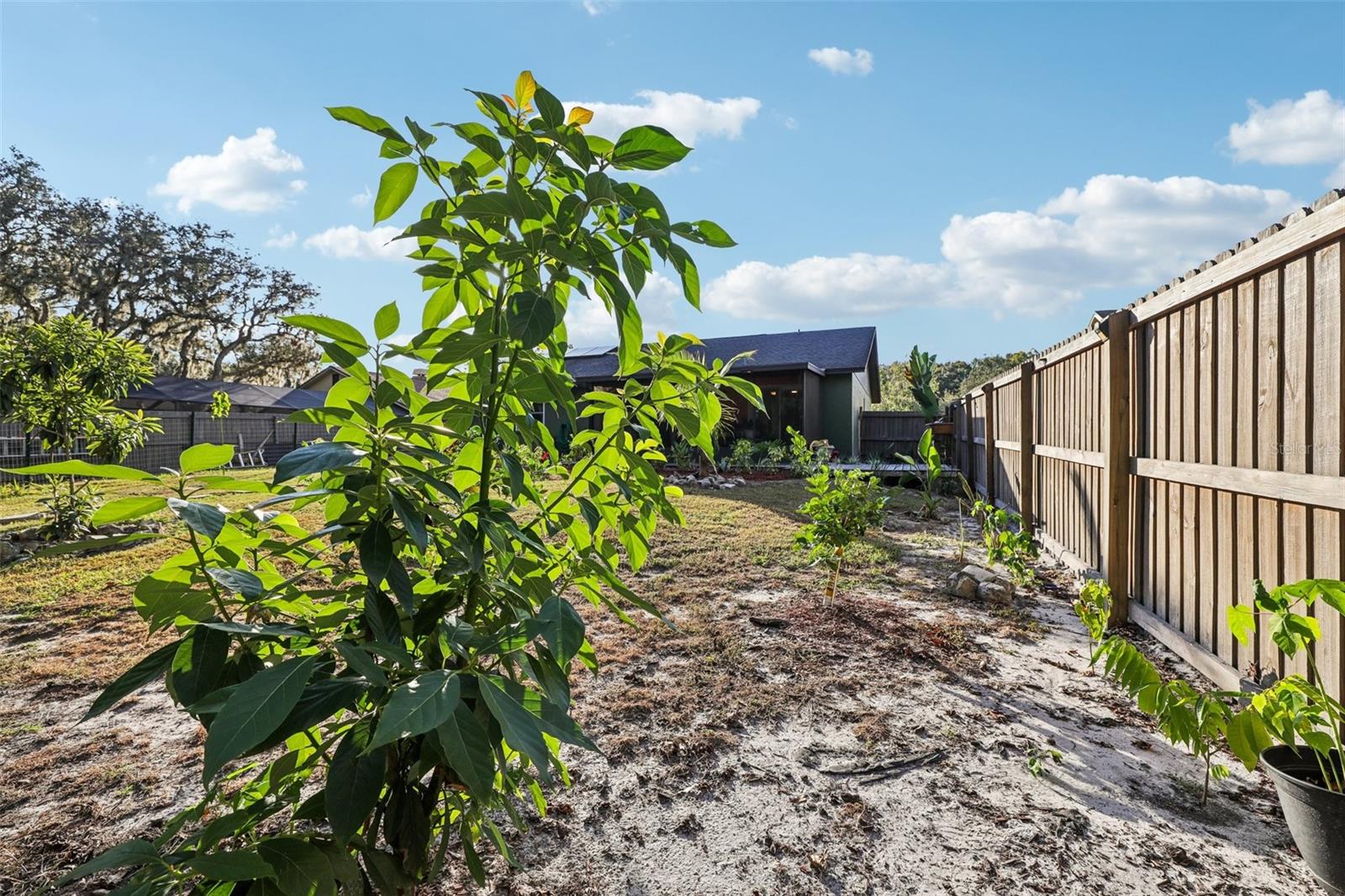 Image 49 of 71 For 5016 Swallow Drive