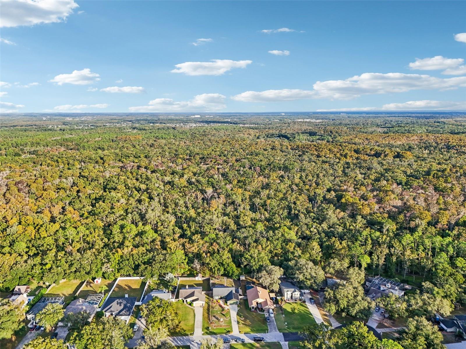 Image 58 of 71 For 5016 Swallow Drive